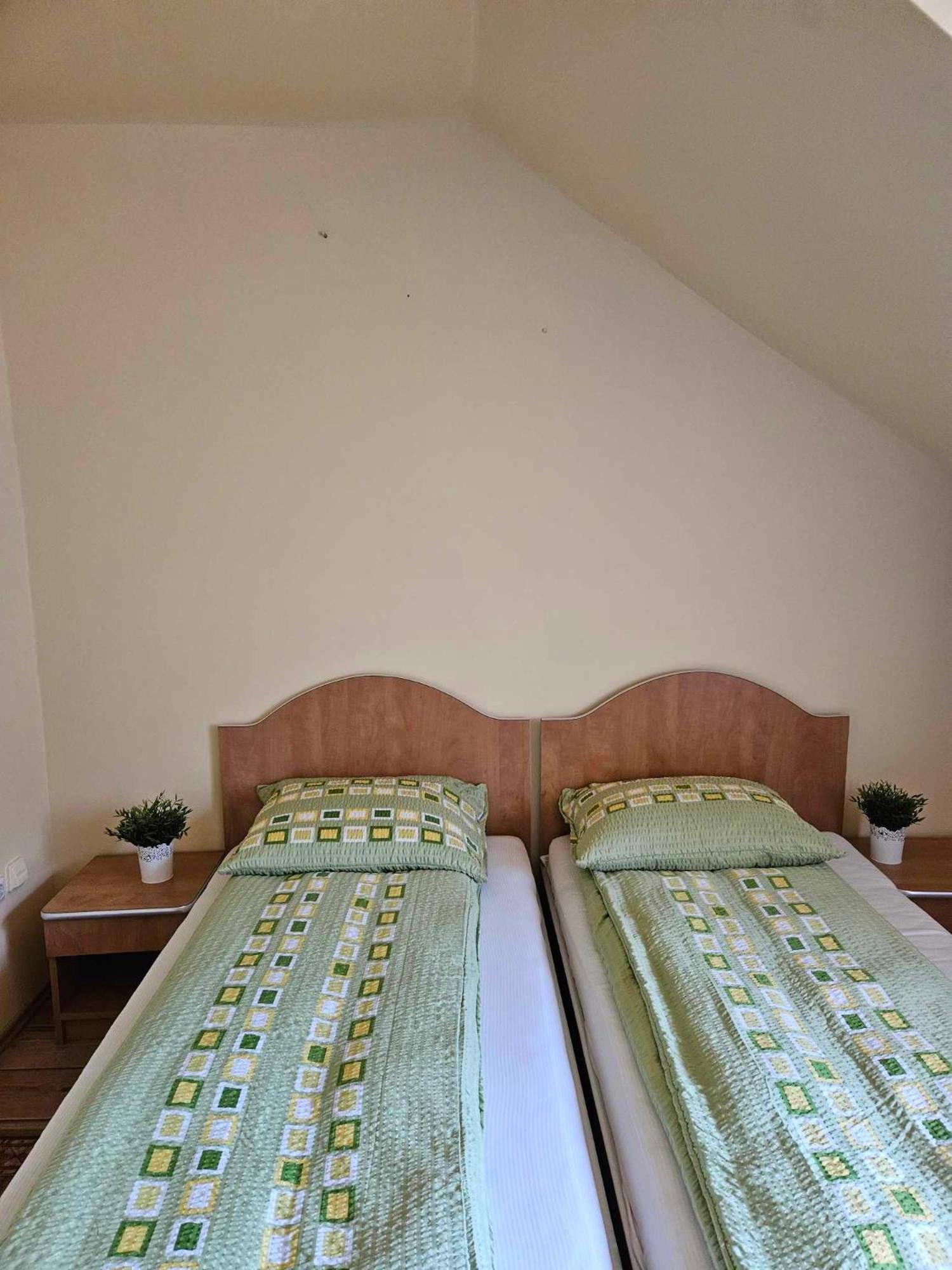 Bed and Breakfast Panzio Anett Pietroasa  Exterior foto