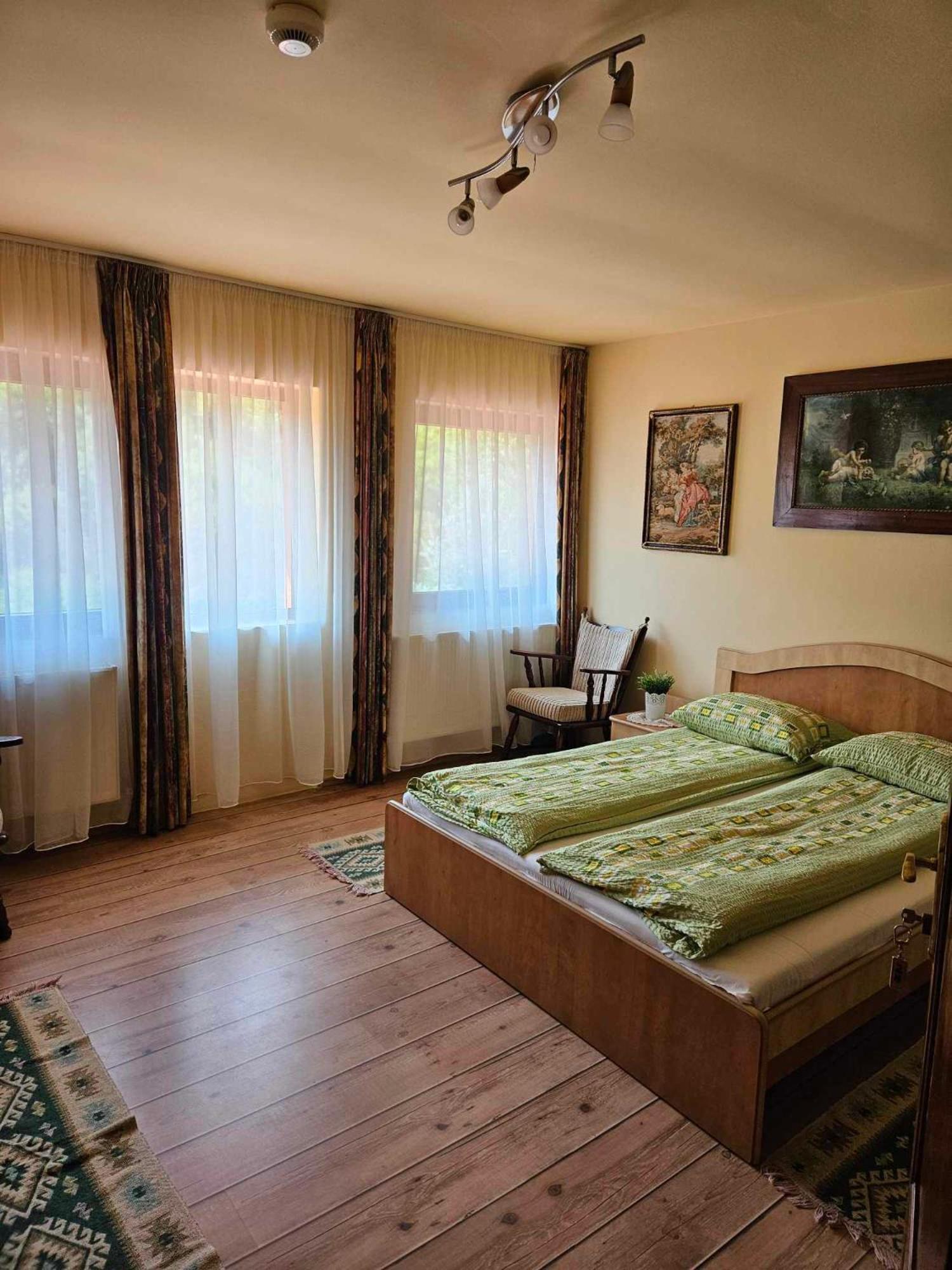 Bed and Breakfast Panzio Anett Pietroasa  Exterior foto
